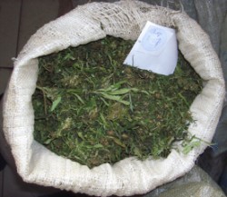 1,2 кг марихуаны обнаружено на границе Озёрского района
