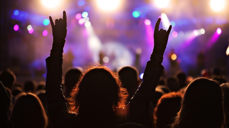 Почему в Озёрах отменили фестиваль неформатной музыки